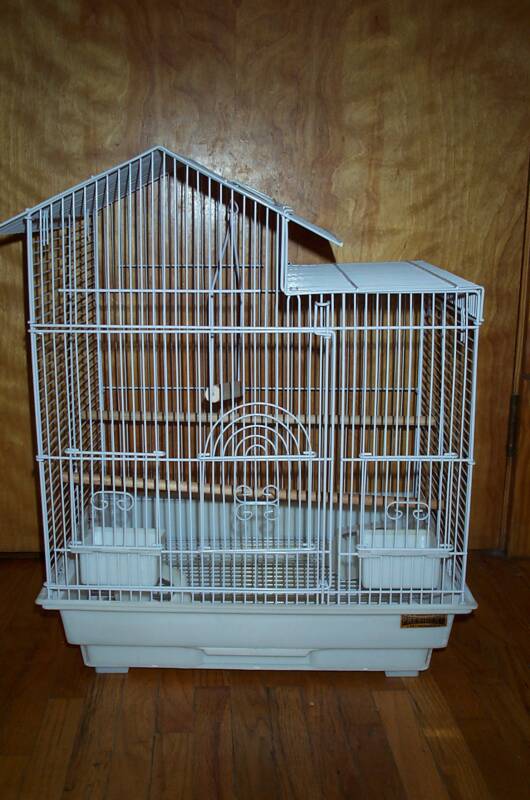 love bird cages